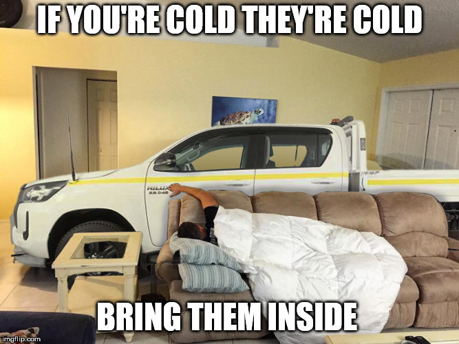 If You're Cold, They're Cold. 🥶 Bring Them Inside. 💁 𝐄𝐎𝐅𝐘 𝐒𝐚𝐯𝐢𝐧𝐠𝐬 -𝟏 𝐃𝐀𝐘 𝐋𝐄𝐅𝐓!👌 📅 #getinquick #westsideauto #wholesale

Rain, hail, or shine, we've got the next perfect Hilux waiting for you. 😏 Find yours today 👇
westsideauto.com.au/cars/by-make/t…