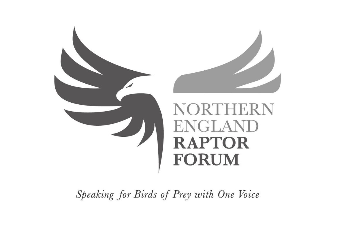 Raptor Persecution UK tweet media