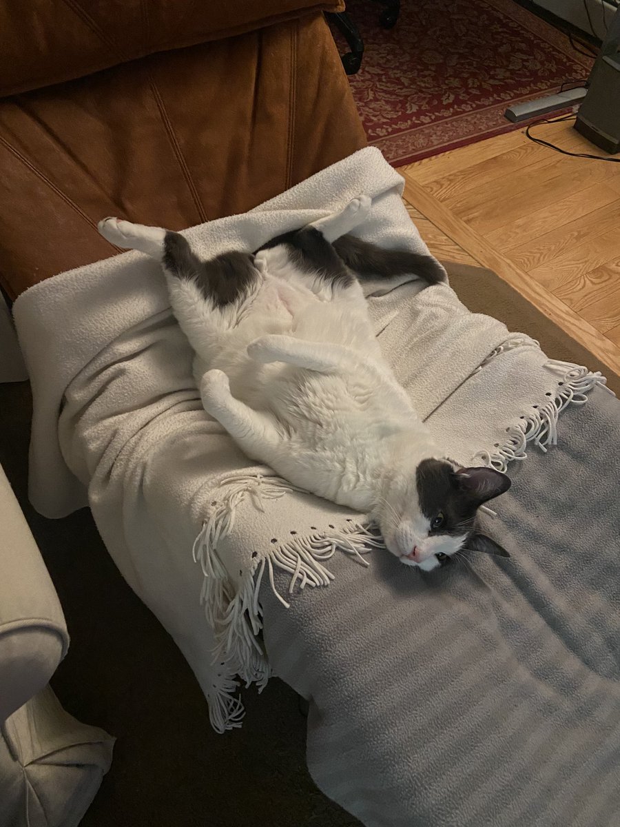 guldnerr's tweet photo. What a freeloader. The guy doesn’t even pay rent. https://t.co/tlvvJt6Fuo