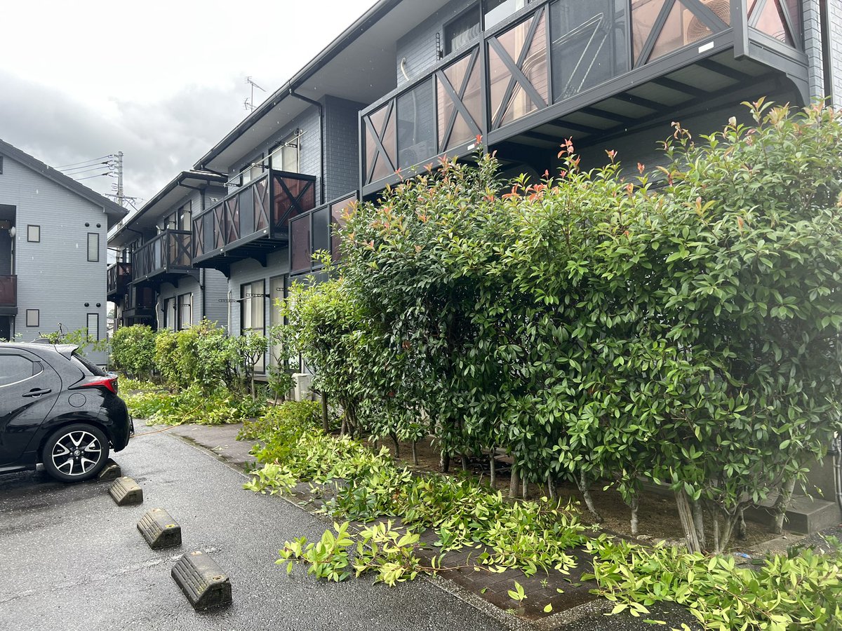 bisoujp's tweet photo. お久しぶりのTwitter更新。
今日みたいな現場全部一緒なの助かるー😂

奥の部屋空室清掃
外注駆除（蜂の巣3カ所）
草刈り等😇 https://t.co/kuVk017sOk