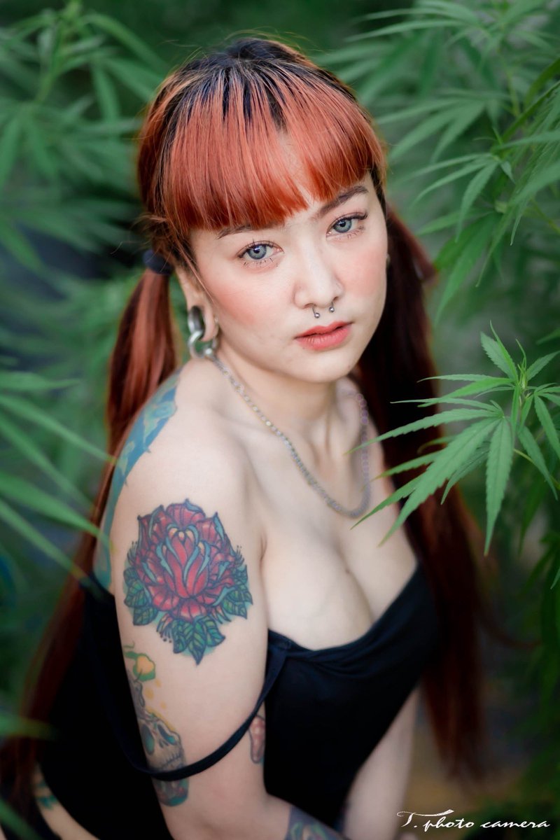 ต้นไม้ของฉัน🌿