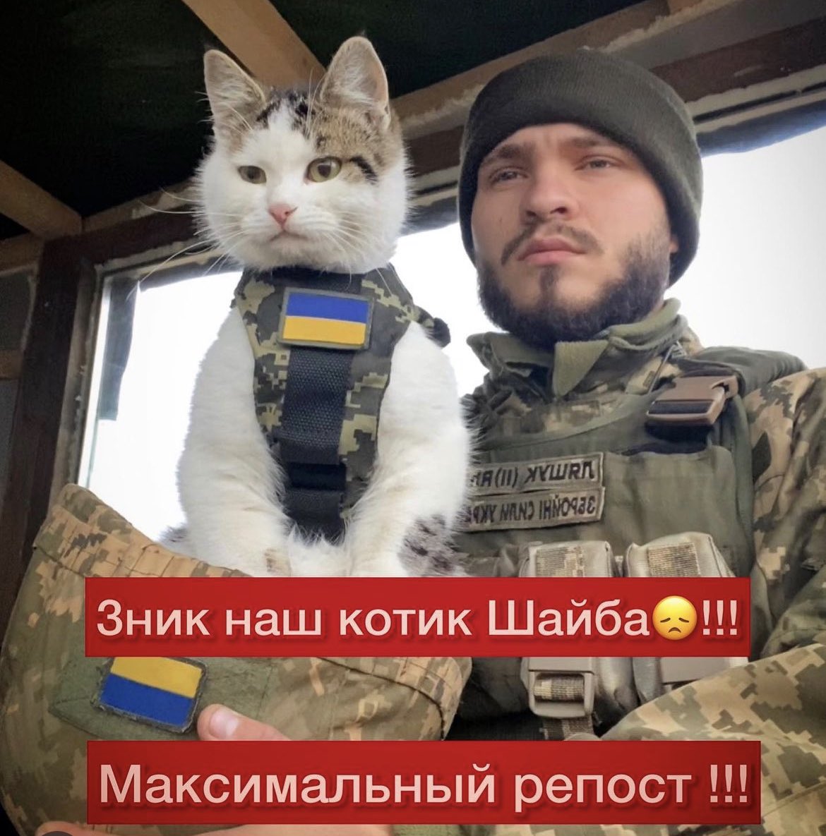 #NAFOCatsDivision 🙏
‼️IMPORTANT: To all in the Odesa region‼️