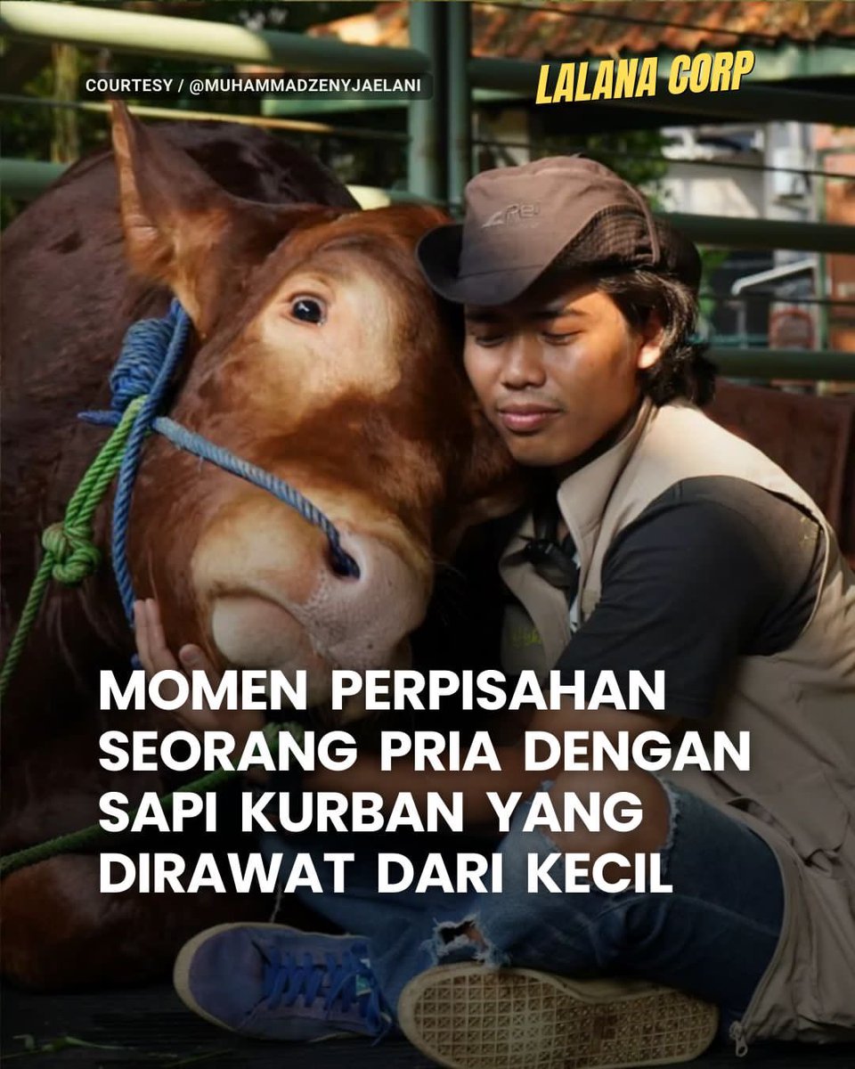 lalanacorp's tweet image. Momen mengharukan ketika seorang pria harus berpisah dengan sapi peliharaannya yang sudah dirawat sejak kecil. Momen ini dibagikan oleh Irfan Hakim melalui media sosialnya. Terlihat dirinya tidak dapat berhenti memeluk sapi miliknya untuk terakhir kalinya. 😭😭😭🤍 
-
#LLNCORP