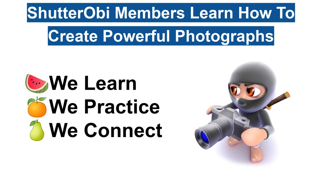 shutterobi's tweet photo. Join Our Photography Community For Free!
https://www,https://t.co/d6buS19znL
---> @shutterobi
#photography #photocommunity #shutterobi #photogroup #streetphotography https://t.co/dmoiYOO4PK