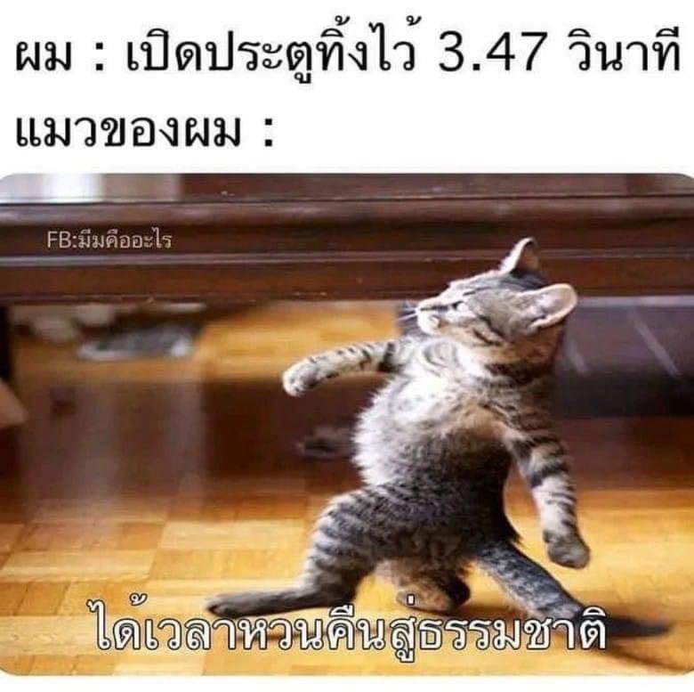 hii_ah's tweet photo. จ้องแต่จะออก แล้วพุ่งไวด้วยนะ https://t.co/odomhj5RgZ
