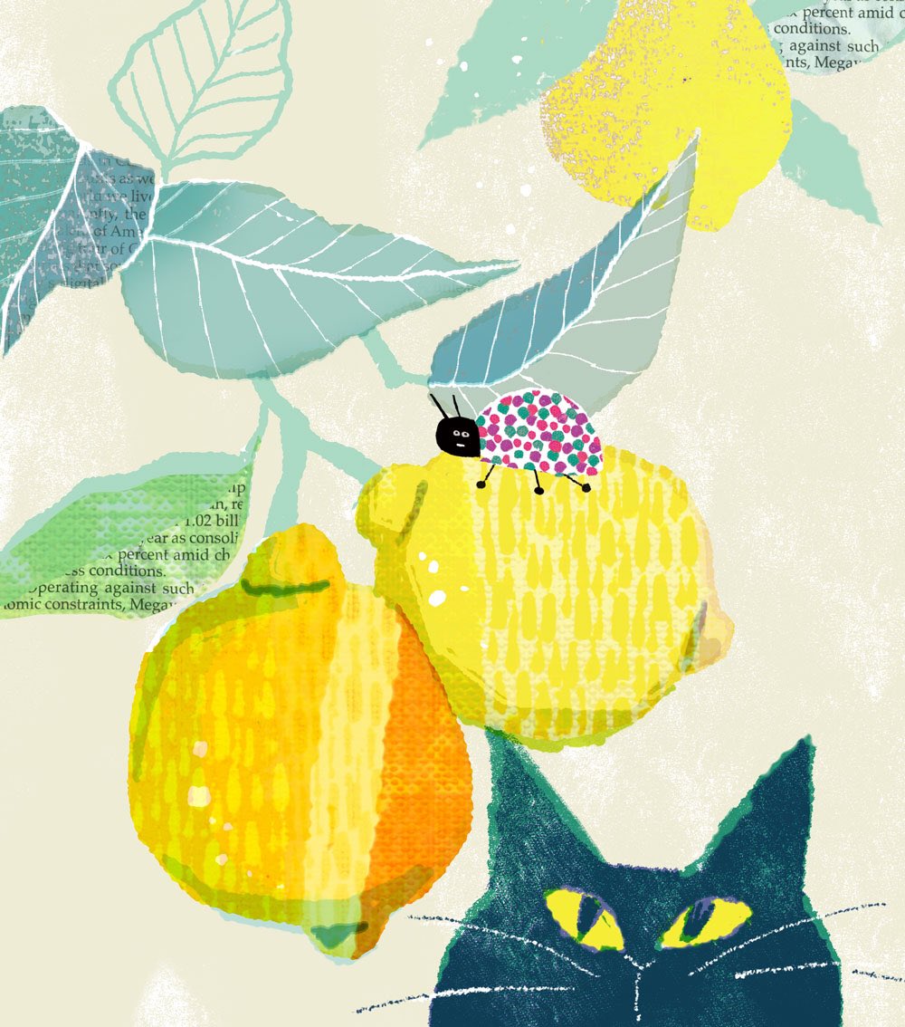 Lemon🍋

#illustration #cat #lemon