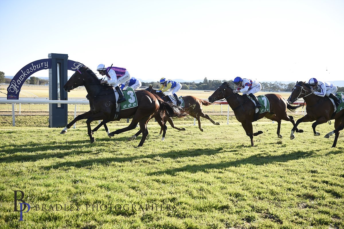 Hawkesbury Race Club tweet media