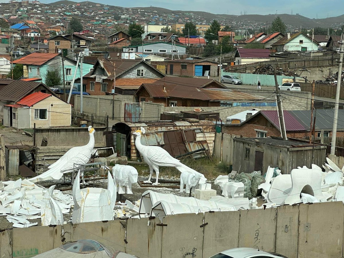 Наадмын сурпрайзыг задалчих уу би? 😅
Наадмын нээлтээр ямар ч байсан хос 2 тогос, аймар том эмээл, 2 ширхэг домбо, 5 хошуу мал, Асар Басар нохой нь жагсаж явах юм байна. Нисдэг бор морь бол нууц. Та нээлт үзэхдээ мэдээгүйм шиг байдгым шүү. Гайхаад өгөөрэй, гуйж байна. 😅