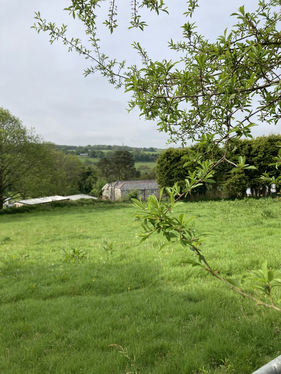 #CornwallTravelChallenge walking to the village post office and back #cornwallactivechallenge #dogwalk #savetheenviroment #rural #active #steps #localbusiness #leavethecarathome #winner