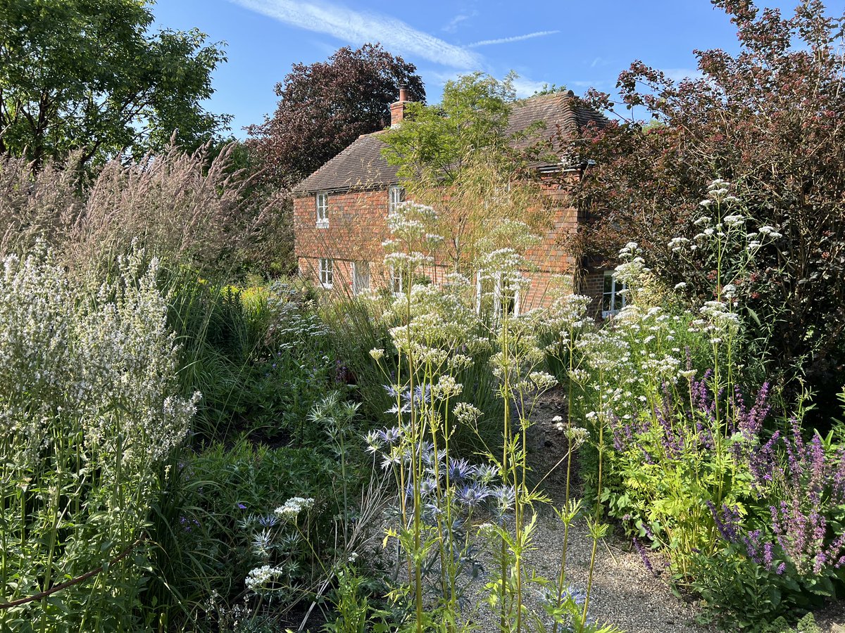 📢 Book your garden visit here @PelhamPlants Rose Cottage for @NGSOpenGardens 3rd & 5th August. Proceeds from teas & cakes to @FareShareSussex online booking essential: findagarden.ngs.org.uk/garden/42454/r… 
#ngsopengardens #opengarden #sussexgardens #charityevent #gardeninglife
