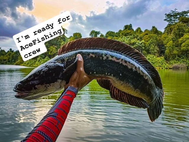 Govaky1's tweet photo. @XPLA_Official
 #XPLA #XPLAGAMES 
Ready to games XPLA 🐟 https://t.co/N0bZtxXBM3