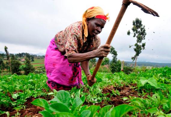 GlobalWomanLdr's tweet image. Funds to Support Women &amp;amp; Youth In Agribusiness approved by African Development Bank Group Board

News: lnkd.in/d2b7K9J8

#Agribusiness #AfricanDevelopmentBank #womenempowerment #supportwomen #supportwork #development #bank