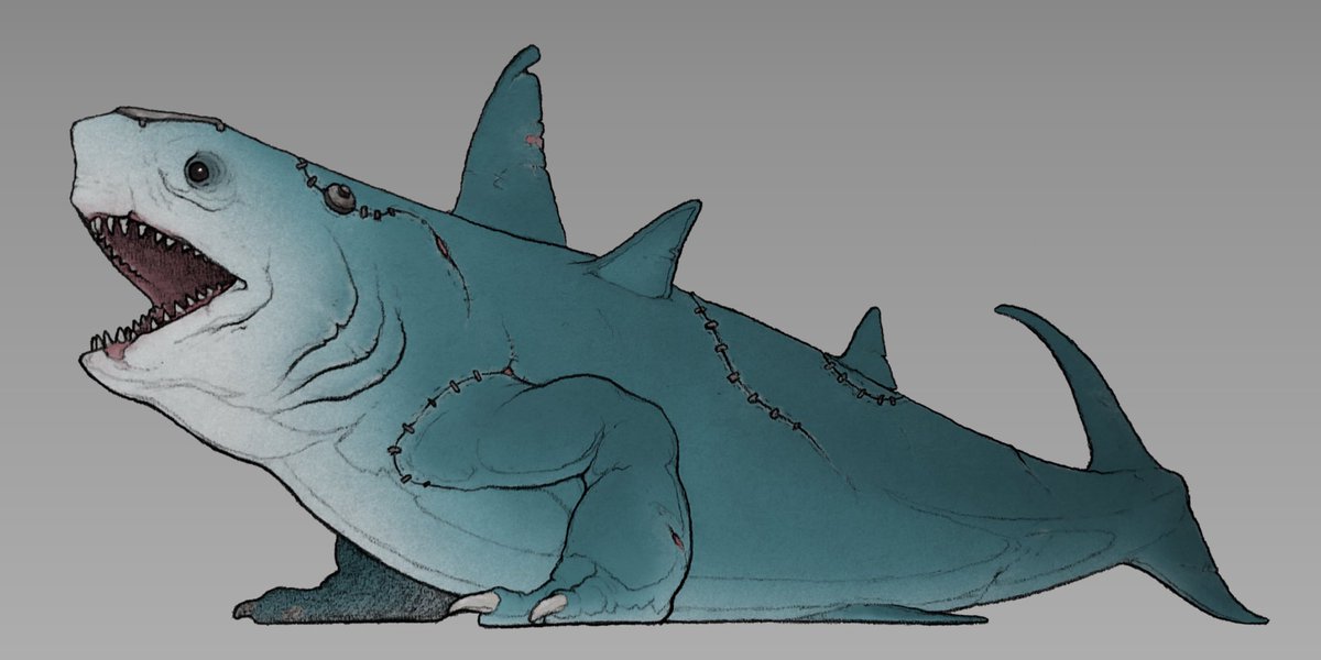 「#TLをサメまみれにしよう いろんなサメたち」|nao70sharkのイラスト