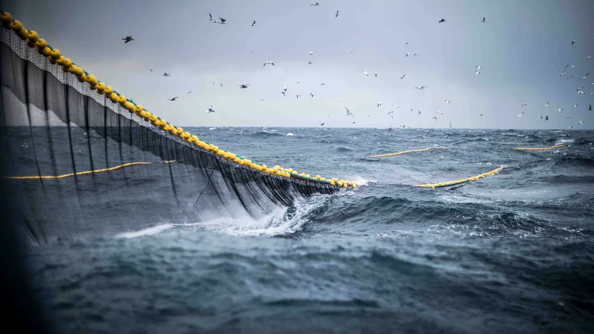 Bryce Stewart (@bd_stew) on Twitter photo Great to see the latest technology being used to tackle contemporary environmental challenges:
'#AI empowered #fishing net to help prevent marine #bycatch' hw.ac.uk/news/articles/โฆ Well done to <a href="/PaulFer13180972/">Paul Fernandes</a> & all involved ๐ HT @micheljkaiser Great to see the latest technology being used to tackle contemporary environmental challenges:
'#AI empowered #fishing net to help prevent marine #bycatch' hw.ac.uk/news/articles/โฆ Well done to <a href="/PaulFer13180972/">Paul Fernandes</a> & all involved ๐ HT @micheljkaiser