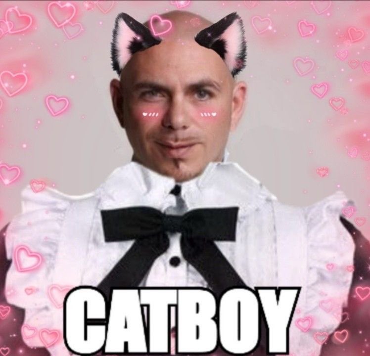 333asha_'s tweet photo. @chaoticmothy mr worldwide https://t.co/qbdxqOE3rc