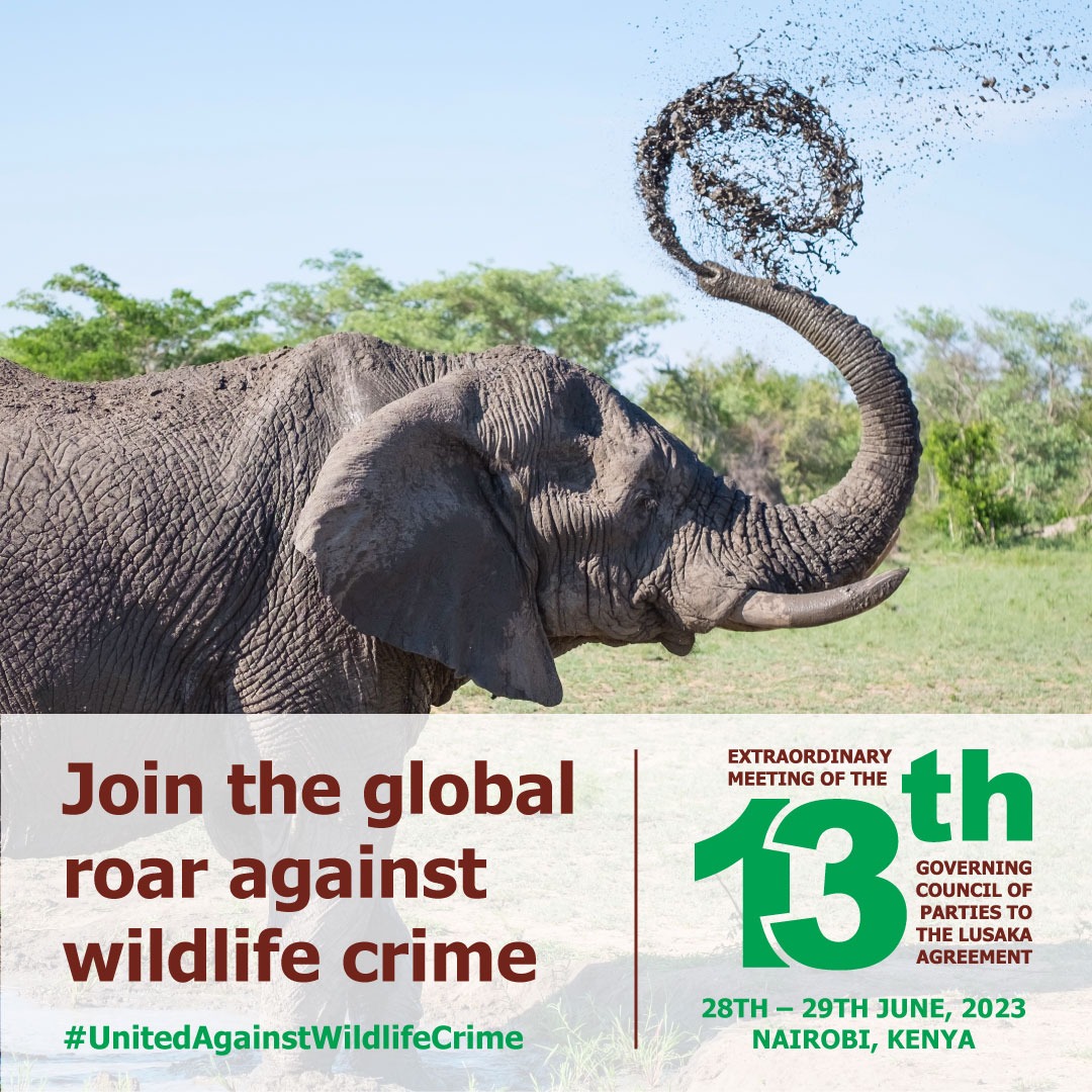 Lusaka Agreement fosters cooperation among member states & complements implementation of the CITES & related international biodiversity conventions in Africa.
Join the global roar against wildlife crime. African nations ratify the Lusaka Agreement now!
#UnitedAgainstWildlifeCrime