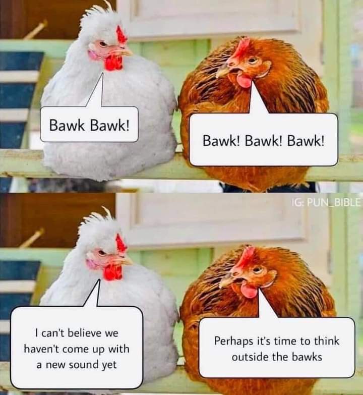 Morning chickadee's...... And all you other little cluckers 😉😂😂😘