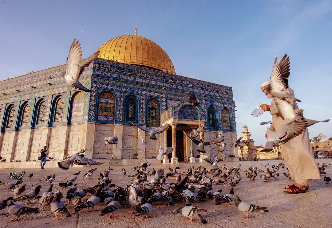 Good morning from Palestine
