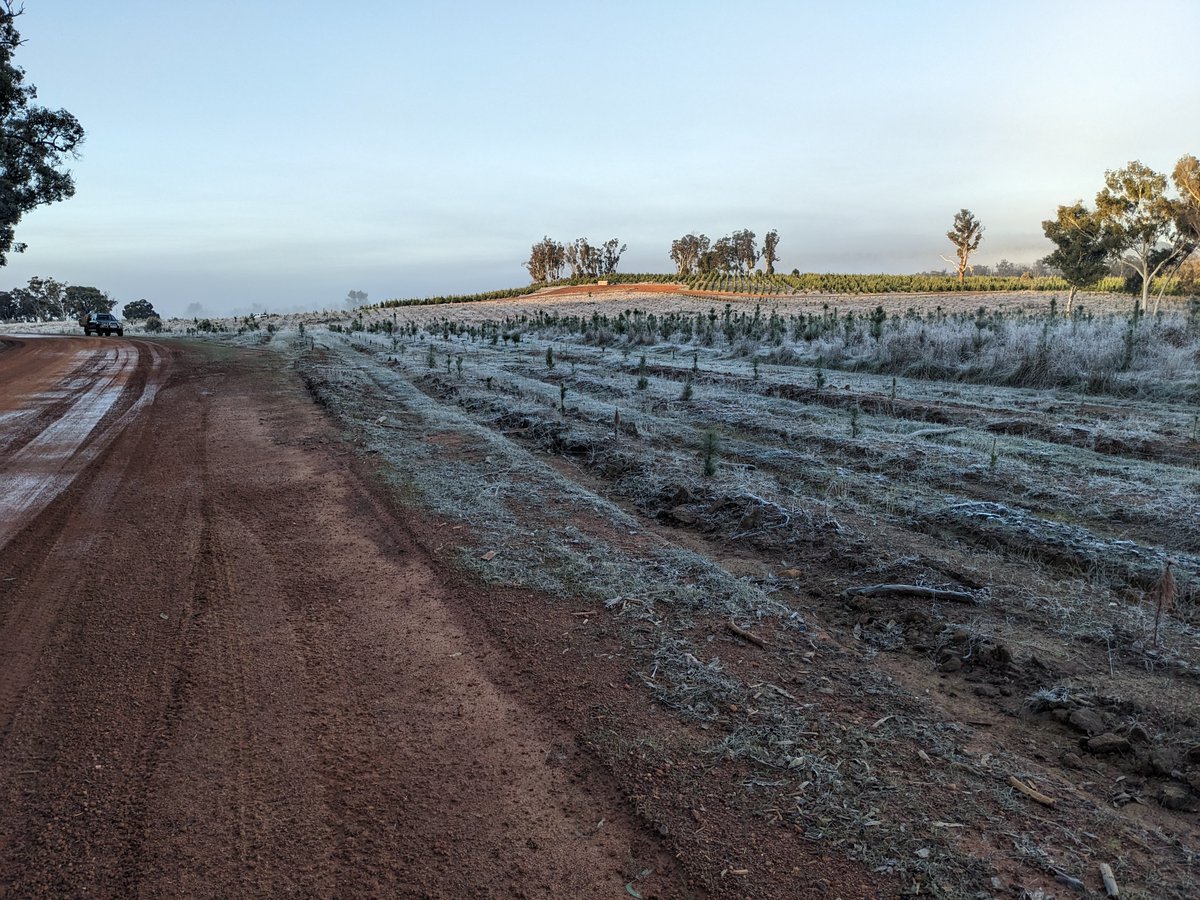 Forest Products Commission tweet media