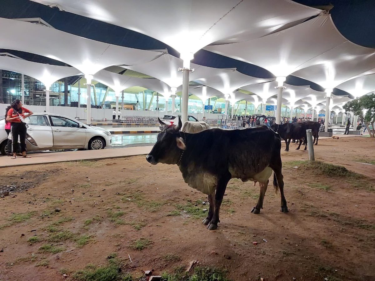 darshanswami88's tweet photo. Yesterday I was visited Sardar Vallabhbhai Patel International Airport at #Ahmedabad and what I seen there!  
Is this international standard airport? @AdaniOnline https://t.co/NPRYk71vNS