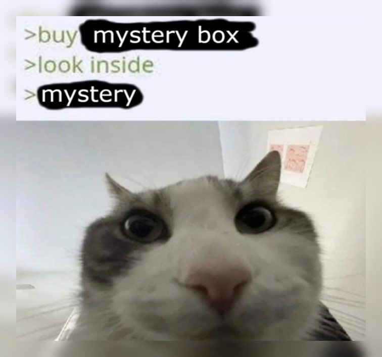 RandomguyO4 tweet picture