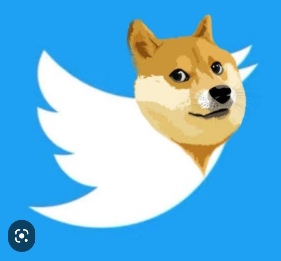 ALIANADOLU35's tweet photo. McDonald's and Dogecoin agreed. https://t.co/U92b3B1dni
