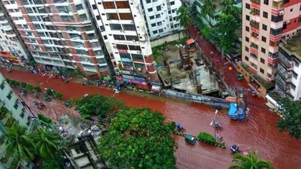 Estos días los musulmanes celebran la fiesta del cordero, en la que se degolla y se deja a miles de animales que sangren hasta la muerte.
Estoy esperando a ver cuándo salen los progres animalistas a pedir que se prohiba, como hacen con las corridas de toros o las granjas de