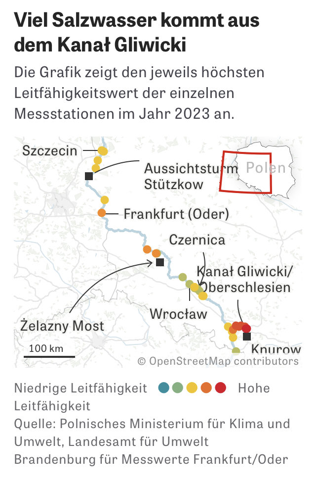 So viele Fische starben letztes Jahr in der Oder, man konnte sie nur in Tonnen zählen: bis zu 1000. Dieses Jahr könnte sich die Katastrophe wiederholen. Warum stoppt das niemand? Recherche mit ⁦@kaibiermann⁩ ⁦@venohr⁩ ⁦@NeuerTag⁩ ⁦@MartinNejez⁩ u.a. 1/2