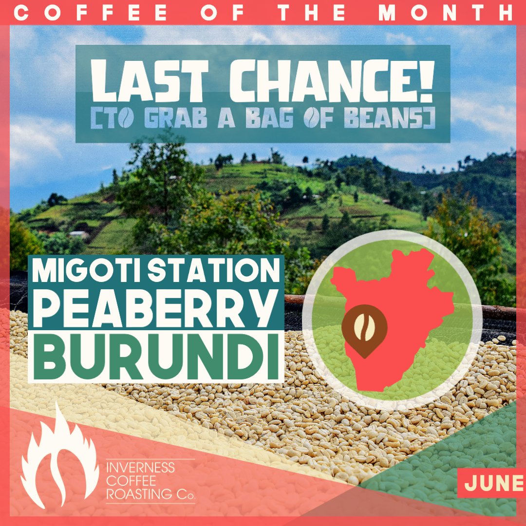 Where did June go?? It's been a busy month for Team Bean, and now there are only a couple days left to grab a bag of Burundi beans!

invernesscoffeeroasting.co.uk/collections/co…

What will we be roasting in July? Only the Coffee Baron knows! 🙊

#invernesscoffeeco #coffeeroasters #coffeeshop #coffee