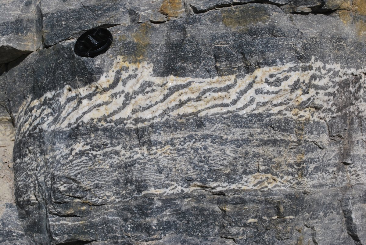 Cathy Hollis (@carbonatesuom) on Twitter photo Ever wondered how you get zebras in the Cambrian in Canada? Take a look at our new paper in <a href="/BasinResearch/">Basin Research</a> to find out...
onlinelibrary.wiley.com/share/XV3ZVYHM… Ever wondered how you get zebras in the Cambrian in Canada? Take a look at our new paper in <a href="/BasinResearch/">Basin Research</a> to find out...
onlinelibrary.wiley.com/share/XV3ZVYHM…