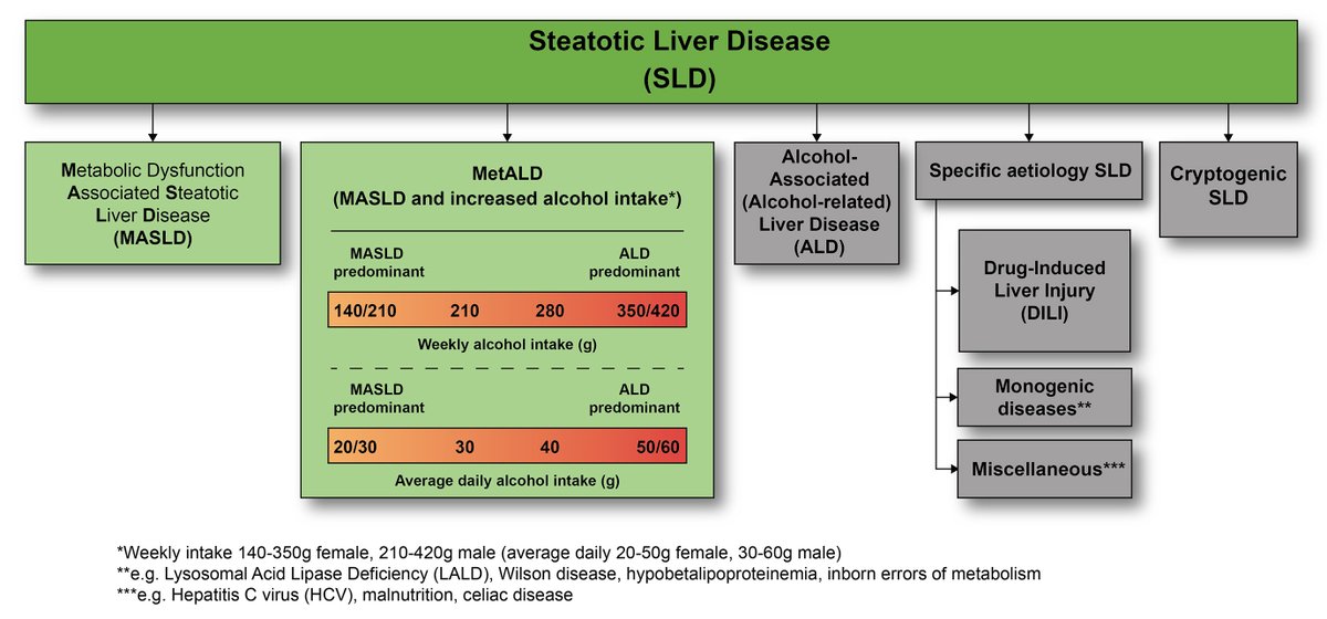 📢New nomenclature &amp; diagnostic criteria for #fattyliverdisease agreed by global consensus❗️

➡️#MASLD: metabolic dysfunction-associated steatotic liver disease

✅non-stigmatising
✅can improve awareness &amp; patient identification

🔓#OpenAcces👉bit.ly/3NSPgme
