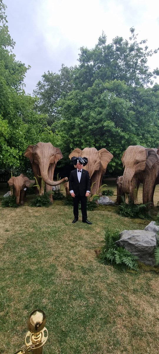 Just another quiet <a href="/britishasiantst/">British Asian Trust</a> <a href="/elephantfamily/">Elephant Family</a> evening - showing my elephant hat to the King and Queen, chatting to Brian May &amp; Anita Dobson, holding a real Oscar and posing like an A-list film star with some elephants...!!