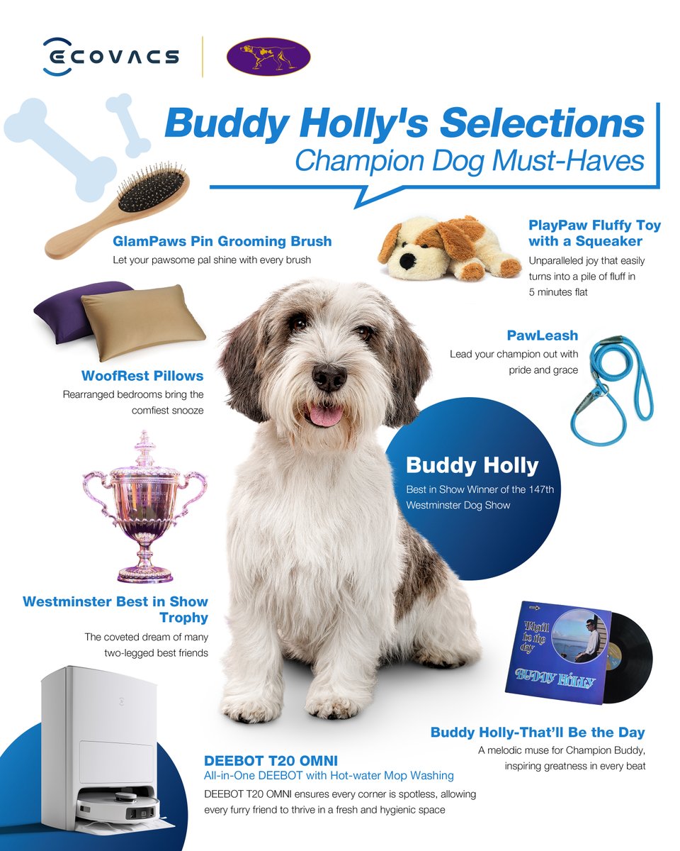 Buddy Holly's Style Collection! ✨ From a fluffy toy to an inspirational album, each item is a statement of uniqueness! And with DEEBOT by his side, they make the coolest duo. Get ready to dive into the captivating world of canine style. 😎

#PawsomeDEEBOT #DEEBOTsChampionBuddy