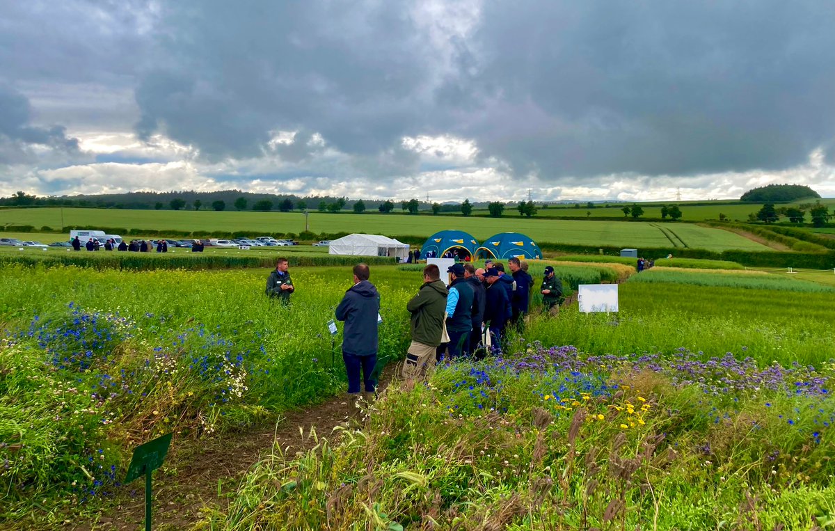 Good turnout at our <a href="/FrontierAg/">Frontier Agriculture</a> open afternoon at Coldstream Mains, despite the drizzly first half ☔️ Thanks to <a href="/McGregorFarms/">McGregor Farms</a> as well as all our customers who attended.
