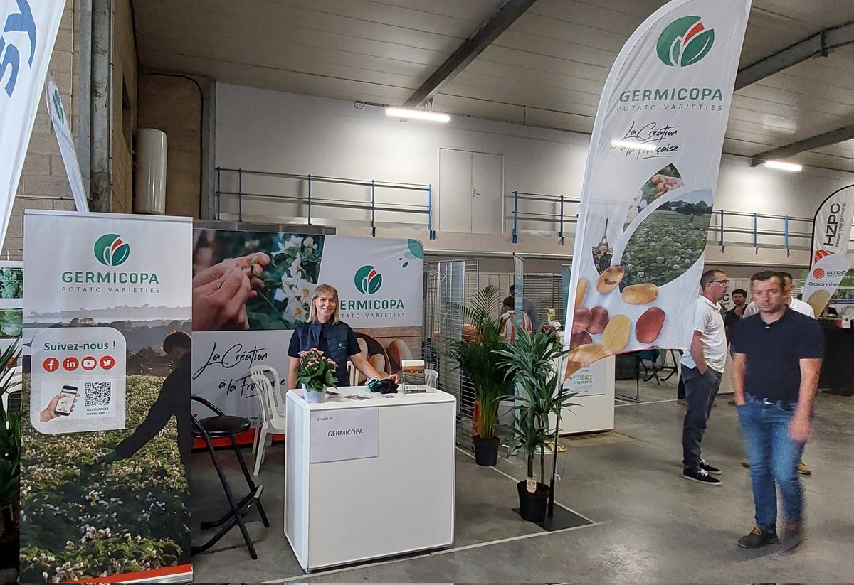 Germicopa tweet media