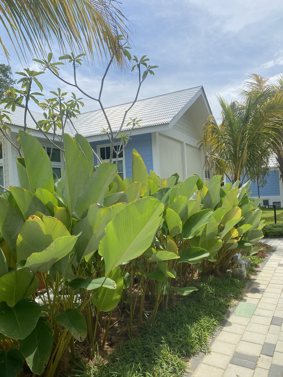 kikinsaad's tweet photo. New place for staycation dekat Mersing, Johor. Kalini mintak husband booking kan chalet baru area Teluk Buih. Nama chalet dekat sini Kampung Stay. Husband booked chalet jenis twin villa. RM325 per night included breakfast. Love the design &amp; concept! Rasa macam rumah sendiri. https://t.co/EoJVIBfAeT
