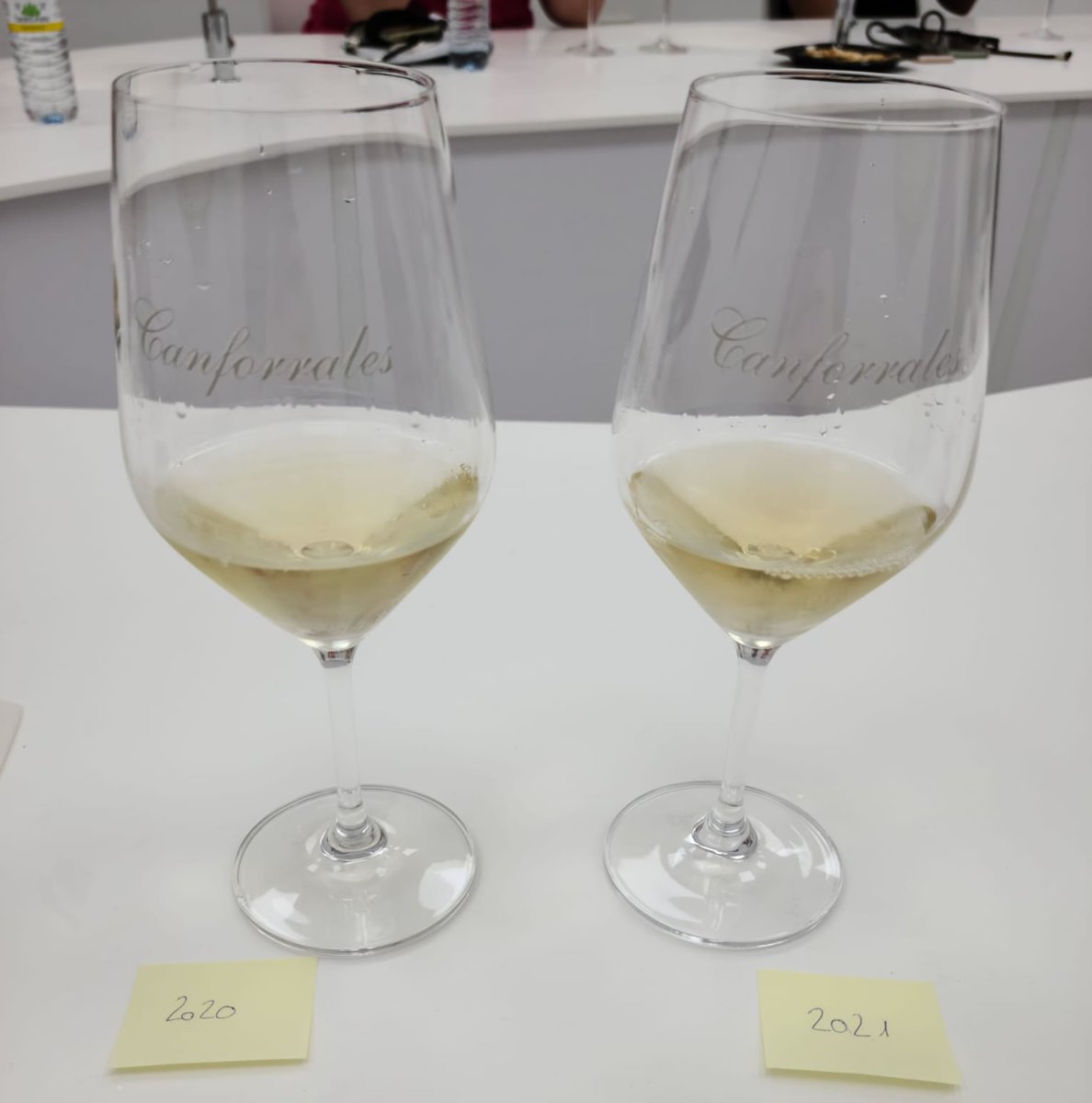 camposreales's tweet photo. ¿Qué es una #catavertical? Cuando los vinos que se catan son los mismos pero de diferentes añadas, se denomina cata vertical. En #CamposReales realizamos una cata técnica y rigurosa desde la añada 2018 de Canforrales #Chardonnay. Campos Reales, fruto de la superación 💚🥂 https://t.co/VoLTE4uubr