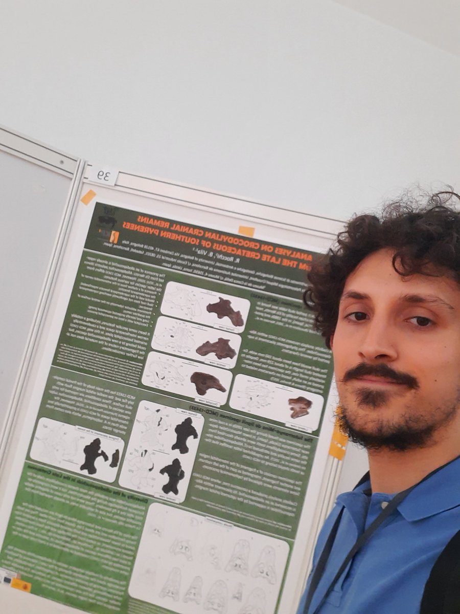 Riccardo Rocchi tweet media