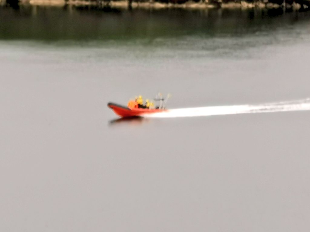 Hillery Collins tweet media