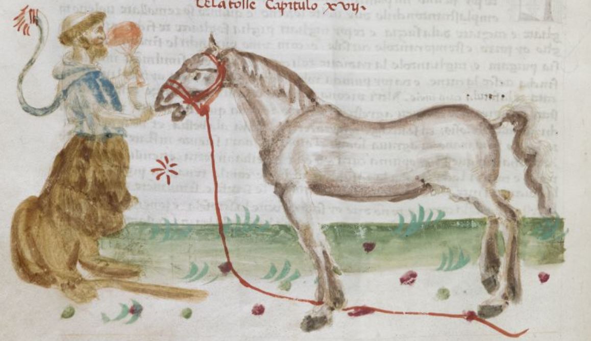 Monk-lion-man and a horse. #medievaltwitter 

Ms: BL, Additional 15097, f. 66v.