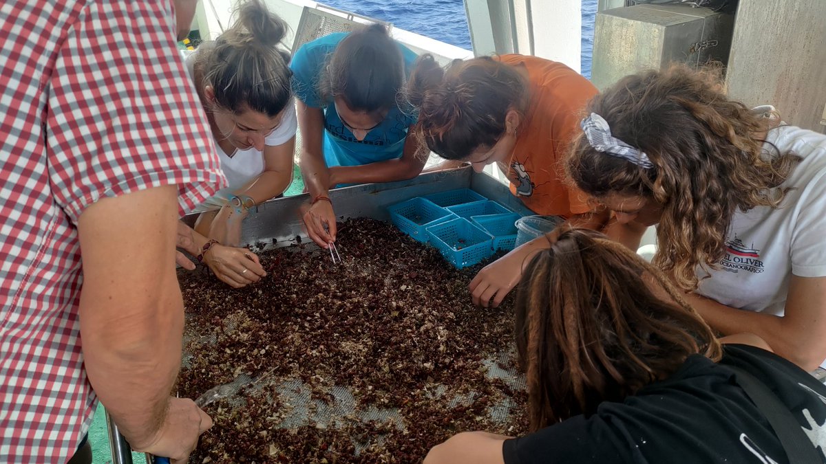 ECOBRED_COB's tweet photo. Ayer empezamos con los muestreos de patín epibentónico en la campaña #MEDITS 2023 #GSA5 #Mallorca #Menorca #FEMPA.
Pretendemos evaluar la implementación de zonas de protección pesquera, como el Lugar de Interés Comunitario Canal de Menorca,uno de los objetivos de @SosMed_NextGen. https://t.co/R9HoN84dA1