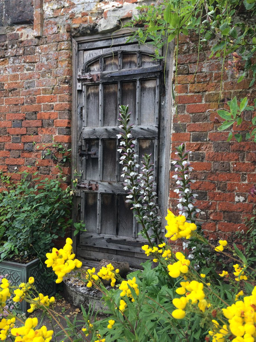 My favourite door of all time. In a relative’s walled garden in Suffolk. Hundreds of years there but seen by very few. I thought I’d treat you. You’re welcome. #AdoorableThursday