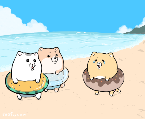 innertube no humans bear beach outdoors ocean polar bear  illustration images