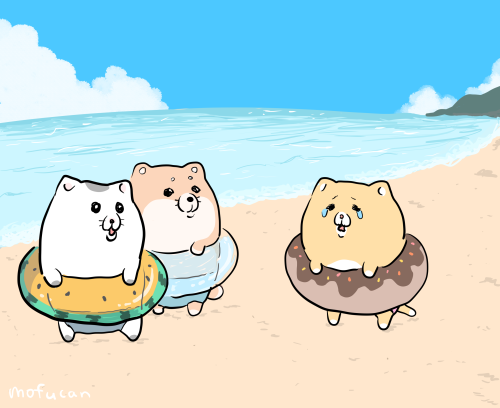 「day polar bear」 illustration images(Latest)