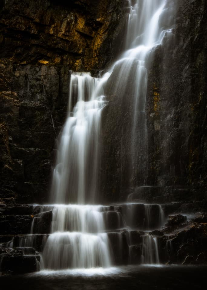 mark littlejohn tweet media