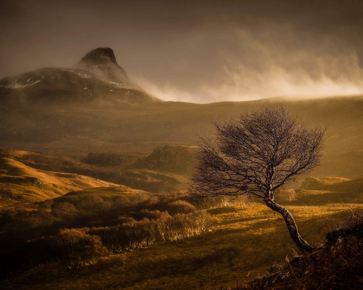 mark littlejohn tweet media