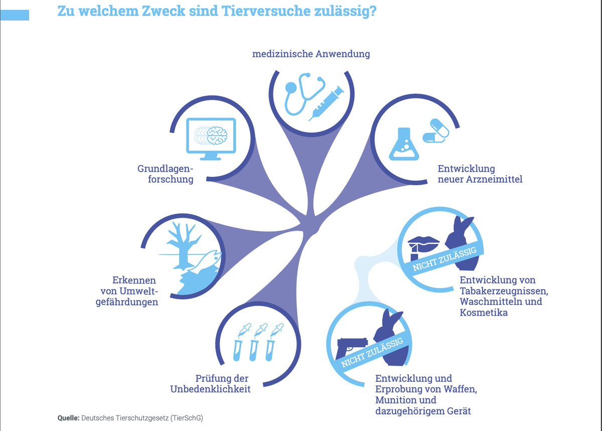 Want to know more about #animaltesting & cosmetics in the EU 🇪🇺 incl. details & exceptions, we've got you covered (if you read German 🇩🇪): tierversuche-verstehen.de/kosmetik/
If you prefer listening over reading, here's our #podcast episode on cosmetics 🎧: open.spotify.com/episode/1IcL9Q…