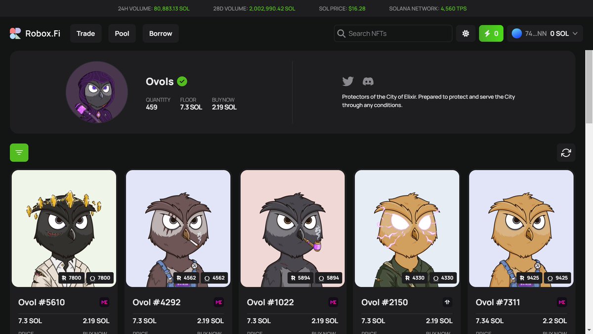 Bamber77237691's tweet photo. Opened a 30 day position with this fine-feathered friend on @Robox_Fi
Could not resist the general outfit, nor @ElixirNFT any longer. Considering opening up positions on a few more...π€
#NFTCommunity #DeFi #DeFiPoolShare #nftleverage #NFT #SolanaUniverse #SolanaNFTs #HOOT https://t.co/tFYBa9605f