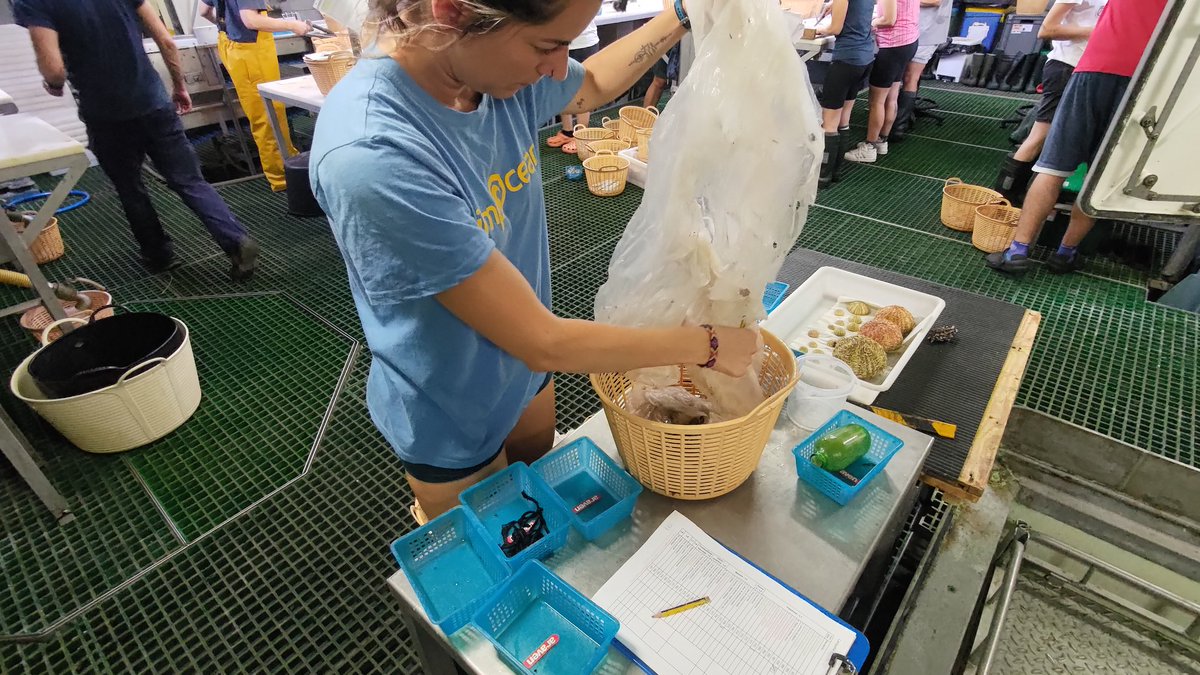 ECOBRED_COB's tweet photo. Estibaliz, compañera del grupo Impact@Sea @MedMarineLitter del @ieo_baleares, está muestreando estos días las basuras marinas que aparecen en los lances de la campaña #MEDITS 2023 #GSA5 #Mallorca #Menorca #FEMPA, en el marco de las Estrategias Marinas #ESMARES.
(1/2) https://t.co/WMguRxIZUT