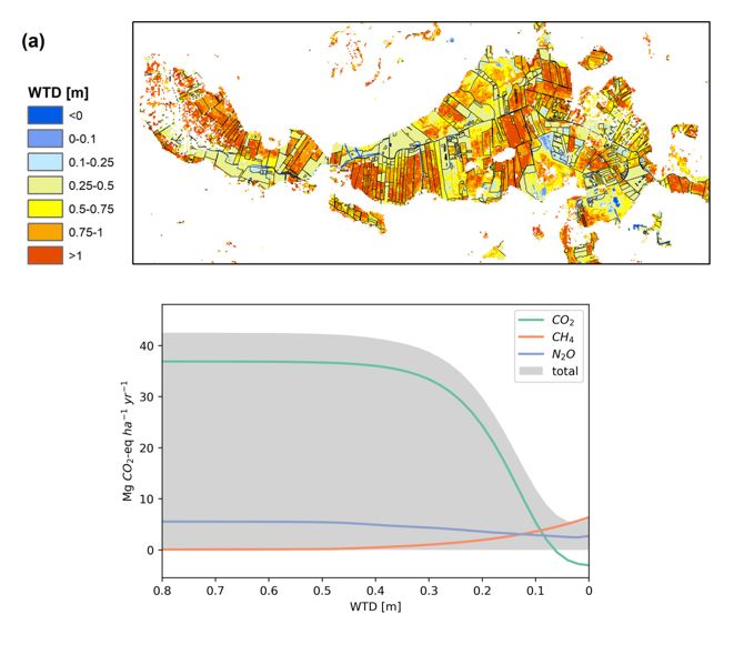 In our new paper we study the linkage between water table depth (WTD) and GHG emissions for Danish peatlands: 
1.High-resolution ML model WTD is developed
2.WTD response functions for CO2 and CH4 are fitted
3.Peatland rewetting scenarios are explored  

bg.copernicus.org/articles/20/23…